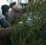12122016123 - Администрация г. Ревда