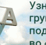 Росстат рассказал, сколько россияне потратят на продукты к Новому году - Revda-Info.Ru