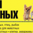 «Собака — не часть имиджа»: 10 вопросов общественнице, десять лет помогающей животным - Revda-Info.Ru