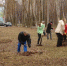 DSC00232 - Администрация г. Ревда