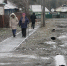 102-5 - Revda-Info.Ru