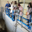 DSC08772 - Revda-Info.Ru