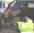 c4a15aa8011a9ba88614d92f6f269a2b - Revda-Info.Ru
