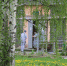 photo_2020-05-14_18-06-57 - Revda-Info.Ru