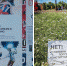 Dizajn-bez-nazvaniya-2020-06-16T173145.365 - Revda-Info.Ru