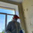 virus - Revda-Info.Ru