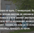 tsitata-2 - Revda-Info.Ru