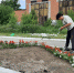 На клумбах появятся петунии, бархатцы, львиный зев, георгины, алиссум, виола, сальвия. Фото// Владислав Фирсов, Ревда-инфо.ру - Revda-Info.Ru