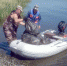 volchih - Revda-Info.Ru