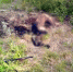 12 - Revda-Info.Ru
