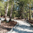 park - Revda-Info.Ru