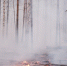 TZAM5016 - Revda-Info.Ru
