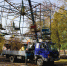 karusel-34 - Revda-Info.Ru