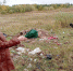 poligon - Revda-Info.Ru