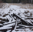 DSC01456 - Revda-Info.Ru