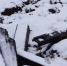 DSC01459 - Revda-Info.Ru