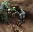 Поисковый отряд школы № 2 Ревды обнаружил останки 81 бойца Советской армии - Revda-Novosti.Ru