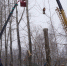 DSC03587 - Revda-Info.Ru