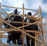 photo5440374175958153988 - Revda-Info.Ru