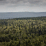 zB2iVplmAo - Revda-Info.Ru