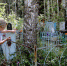 Bazheeva - Revda-Info.Ru