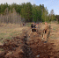 photo_2023-05-06_19-42-43 - Revda-Info.Ru