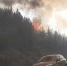 pozhar-na-trasse-12 - Revda-Info.Ru