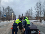 Фото / МО МВД России «Ревдинский»