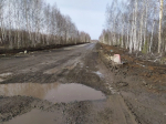 Фото/ Нона Лобанова