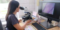 В течение нескольких лет, благодаря нацпроектам, были закуплены 18 новых приборов. А ещё два, общей стоимостью 1,5 миллиона рублей, приобрели недавно. Фото Свердловского областного онкологического диспансера - Revda-Novosti.Ru