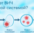 ВИЧ и иммунная система - ЦБС ГО Ревда