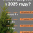 Дизайн без названия - Инфографика для Wildberries 3_4 - Revda-Info.Ru