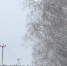photo_2026-03-12_16-55-37 - Revda-Info.Ru